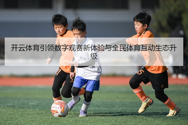 开云体育引领数字观赛新体验与全民体育互动生态升级