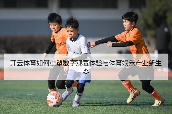 开云体育如何重塑数字观赛体验与体育娱乐产业新生态